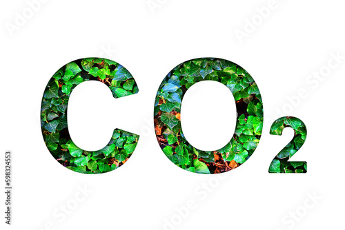 CO 2, sign made from green leaves. Isolated on white background.Emission reduction. Low level of greenhouse gases. Ecology.