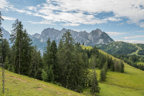 Beautiful austrian alpine landscape with a fresh meadons, pine trees and mountains in the background. summer, day, austria. copy space.