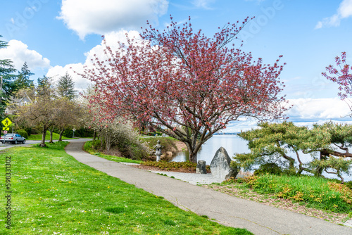 Lake Washington Boulevard Flowers 7 photo