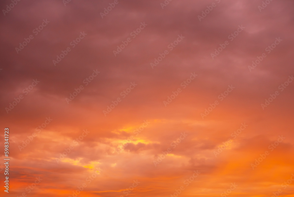 Obraz premium Trend color background