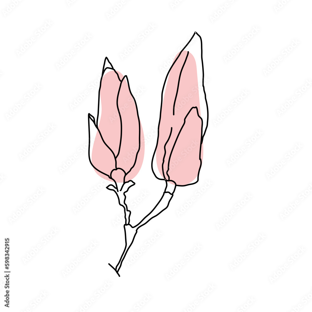 Magnolia flower bud art. Hand drawn realistic detailed vector illustration. Black outline and pink shape clipart Magnolia flower bud art. Hand drawn realistic detailed vector illustration. Black outline and pink shape clipart