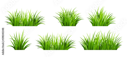 Realistic green grass. Bushes of fresh greens. Spring meadow.