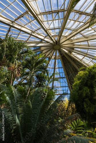 Verrière de la serre tropicale du Parc Phœnix à Nice