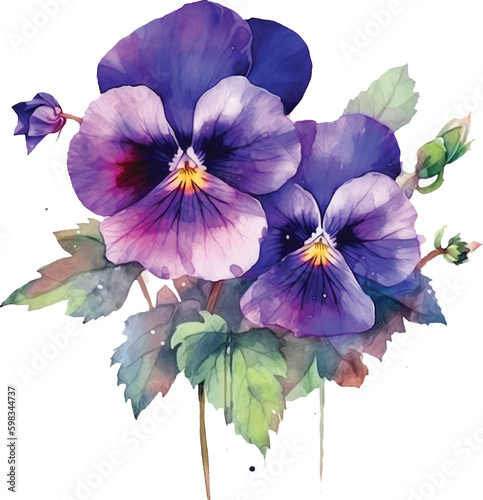 Violet flowers watercolor paint 
