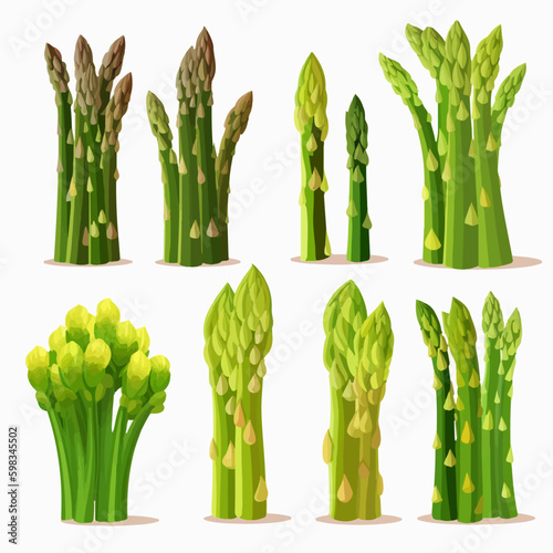 Illustration of a bundle of asparagus