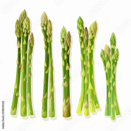 Cute cartoon asparagus character illustration