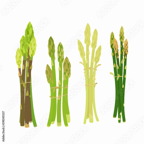 Asparagus vector illustration in 3D style