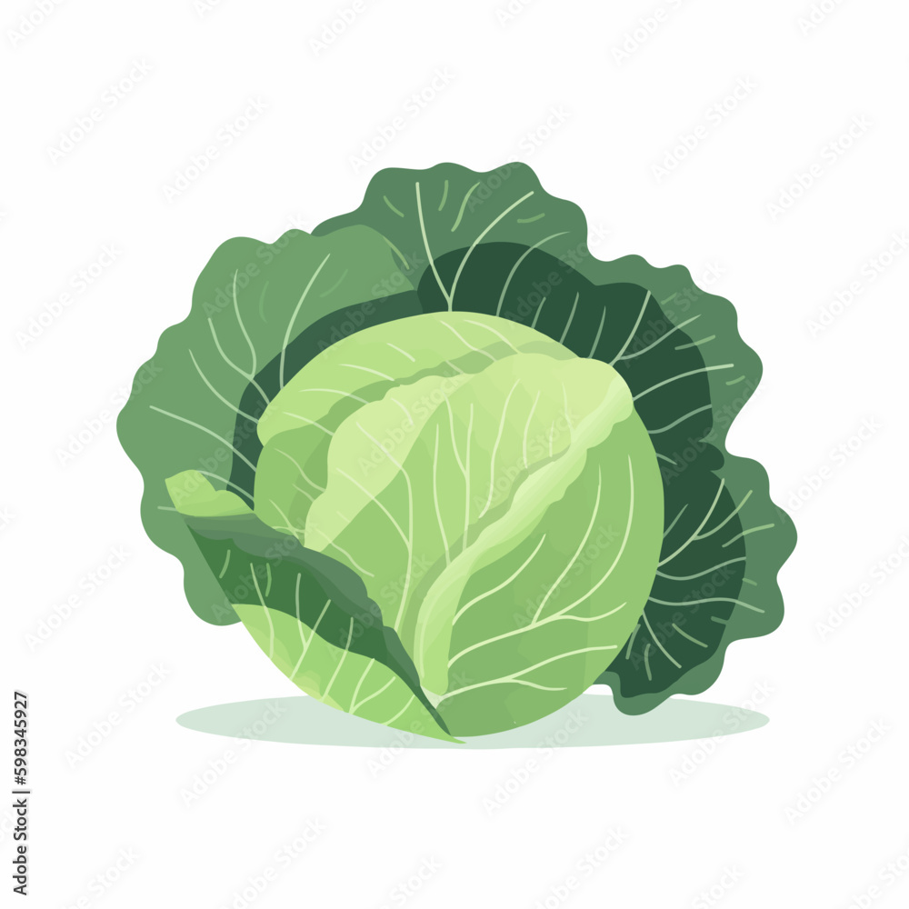 Fototapeta premium Cute and fun cabbage character collection