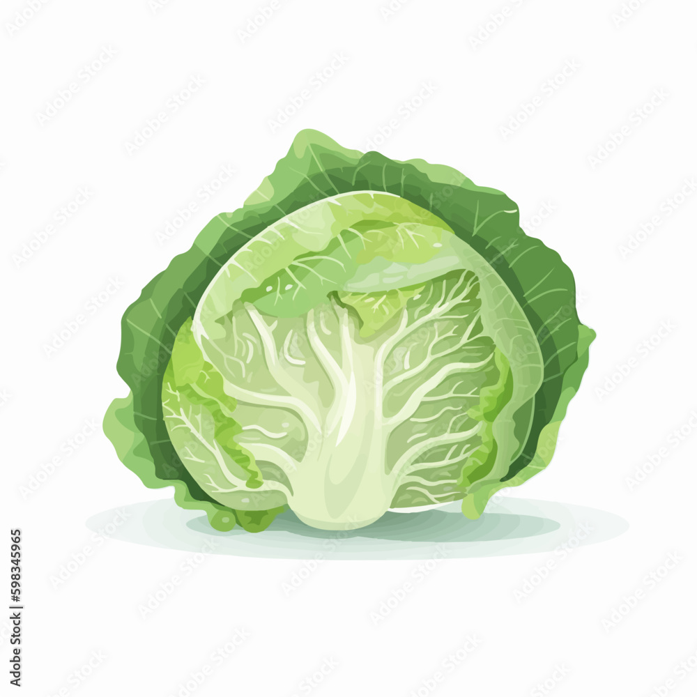 Fototapeta premium Realistic cabbage leaves vector set