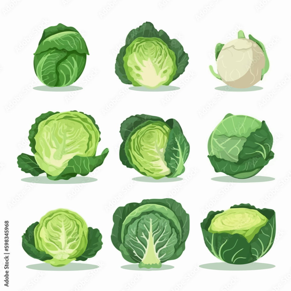 Realistic 3D cabbage and vegetable illustrations Realistic 3D cabbage and vegetable illustrations