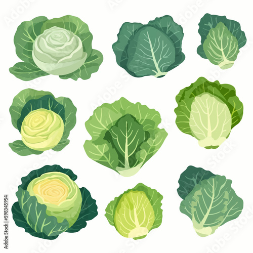 Playful and colorful cabbage and vegetable character illustrations