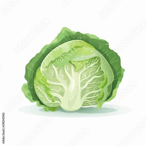 Realistic cabbage leaves vector set