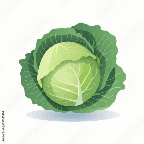 Modern flat-style cabbage and vegetable icon pack
