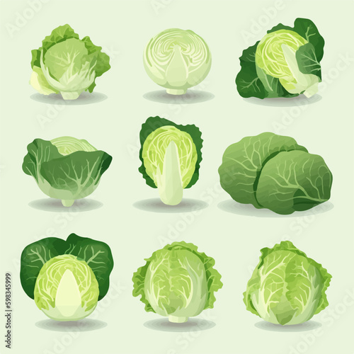 Cute and playful cabbage and vegetable character stickers