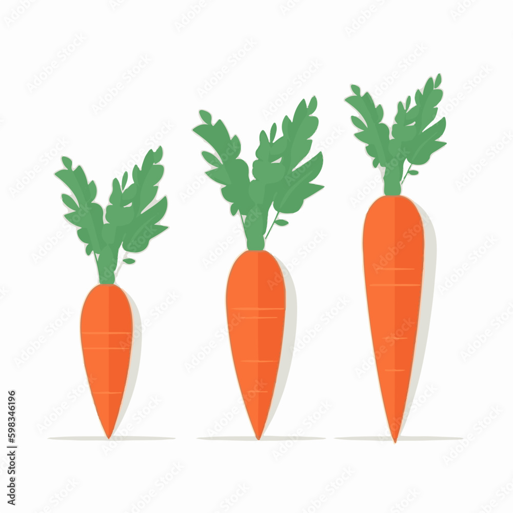 A set of flat carrot illustrations for your web or app design. A set of flat carrot illustrations for your web or app design.