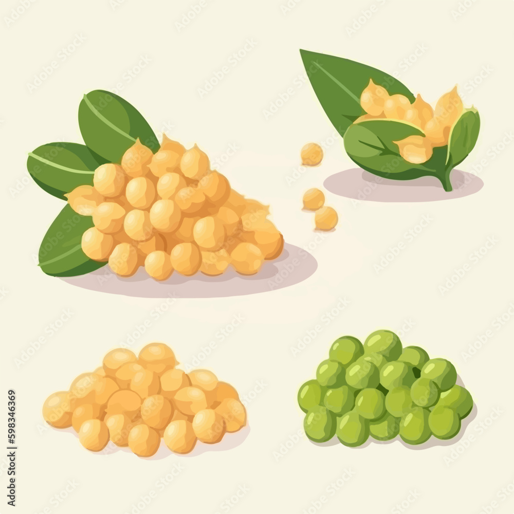 Set of Chick pea illustrations in vector format Set of Chick pea illustrations in vector format