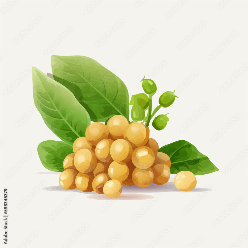 Chick pea vector graphics with a hand-lettered style