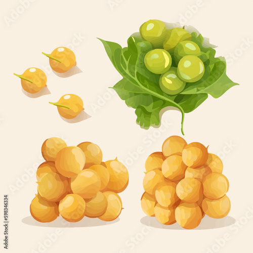 Cute Chick pea characters in vector format