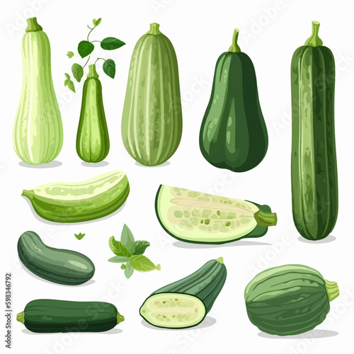 Set of vintage-style Courgette illustrations with a grunge effect