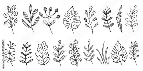Trendy floral branchs, elegant wildflowers and minimalist leaves in original doodle style. Hand draw great for design, print or advertising. Vector illustration EPS10. 