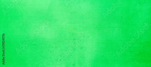 Rustic texture background in light green color