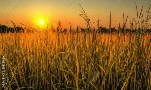 A field with the sun in the background. The countryside is vast and open  with tall green grasses stretching to the horizon. The sun is setting  its soft golden glow covering everything. Generative AI