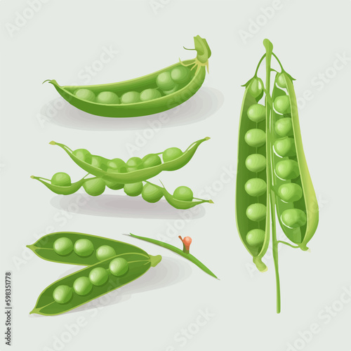Set of hand-drawn pea vector illustrations for a unique look.