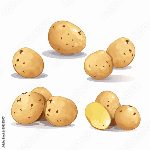 Collection of potato illustrations featuring different perspectives for versatile design options.