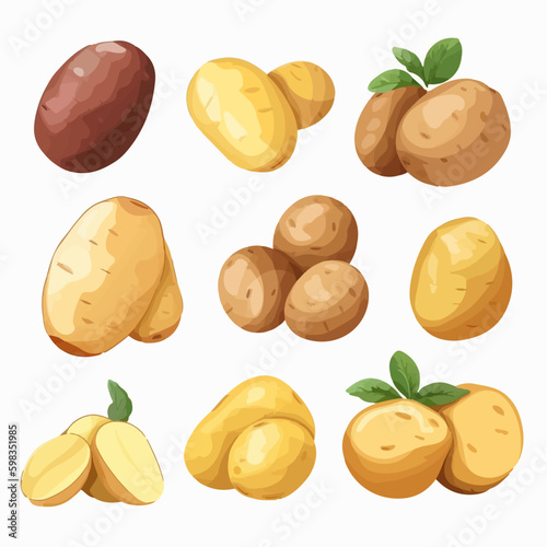 A collection of potato illustrations in a vintage engraving style for a classic look.