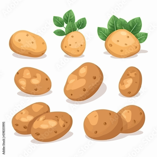 Vector illustration of a potato with a textured surface, adding depth and realism to your designs.