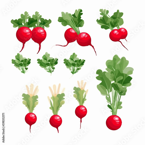 Create a rustic and organic look with this pack of hand-drawn radish vector graphics.