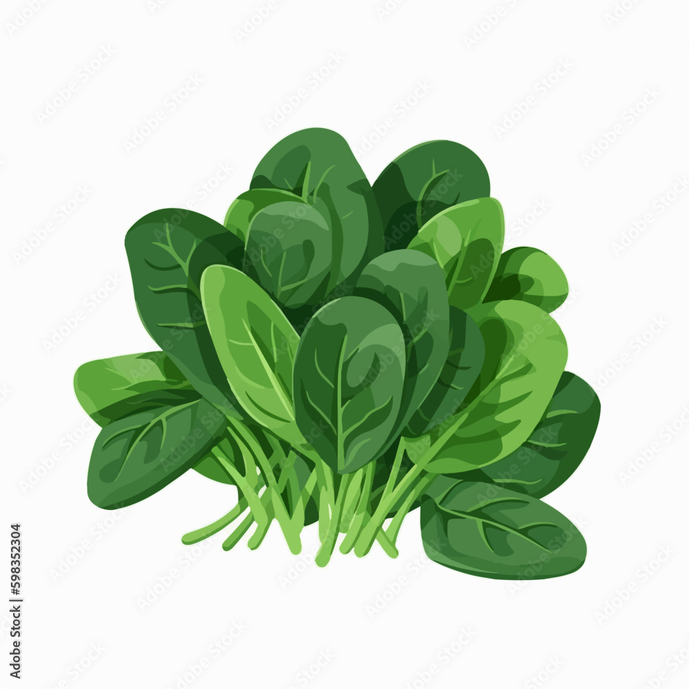 Create a farm-to-table aesthetic with this pack of spinach vector graphics. Create a farm-to-table aesthetic with this pack of spinach vector graphics.