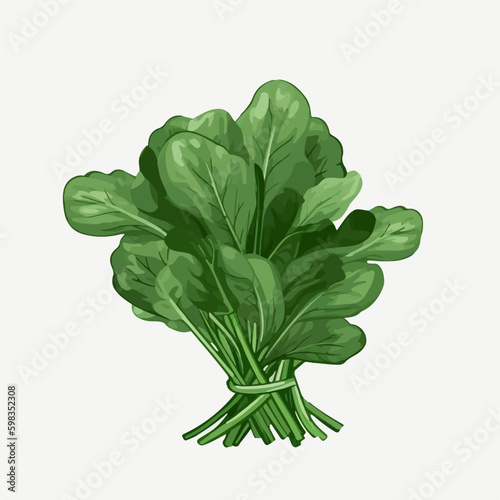 Collection of vector illustrations perfect for creating labels and tags with a spinach theme.