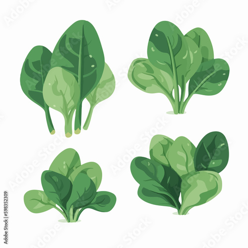 Add a vibrant and refreshing touch to your designs with these leafy spinach vector images.