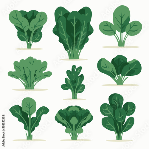 Create a nature-inspired design with this pack of spinach vector graphics.