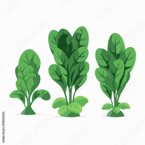 Create a fresh and wholesome design with this pack of spinach vector graphics.