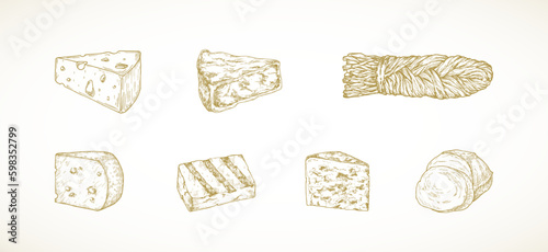 Hand Drawn Sketch Cheese Pieces Set. Engraving Style Roquefort, Gouda, Haloumi, Camembert, Mozzarella and Pigtail Suluguni Cheese Illustrations Collection Isolated photo