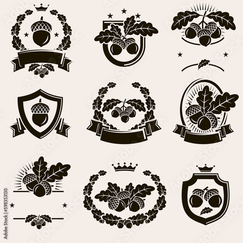 Acorns label and icon set. Collection icon acorns. Vector