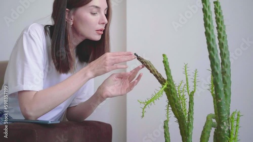 A young beautiful woman worries looks at a sick cactus plant that suffers from parasites and viruses and touches it with her hands. The death of indoor plants. Home gardening concept photo