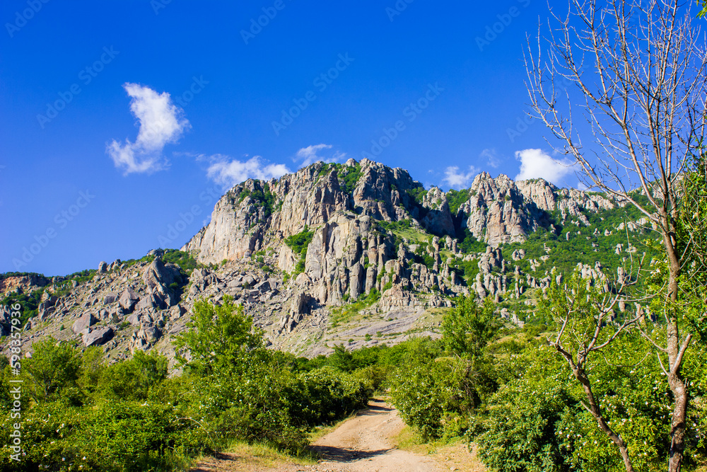 Plateau, mountain with old rocks and a cliff with stones and large boulders, forest and grass on a slope against a bright blue sky and tree branches in the foreground.