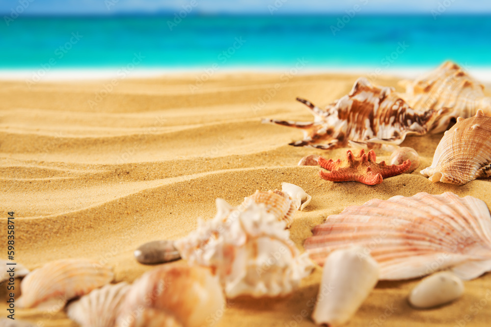 Beautiful summer beach background with different seashells and starfish on sandy seashore and turquoise water Beautiful summer beach background with different seashells and starfish on sandy seashore and turquoise water
