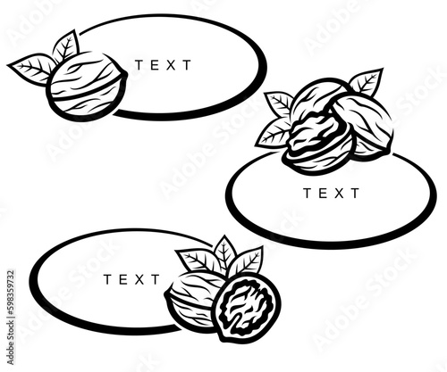 Walnut set. Collection icon walnut. Vector