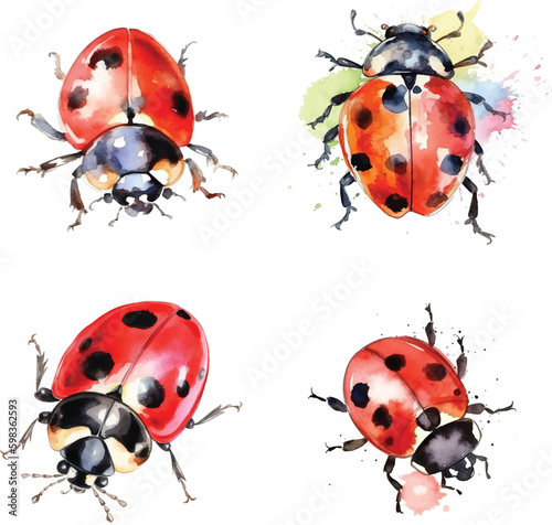Ladybug watercolor paint collection
