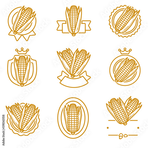 Corn label and element set. Collection icon corn. Vector