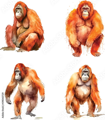 Orangutan watercolor paint collection