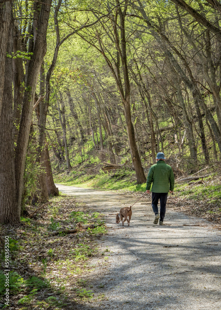 senior man walking with a dog in a forest - Steamboat Trace Trail near Peru, Nebraska