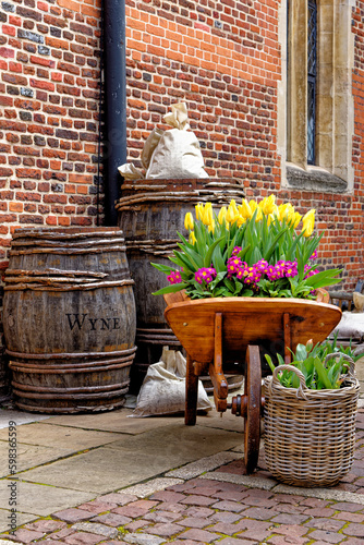 Garden decoration with tulips in an english cottage garden