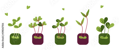 Sets of different types of microgreens on a white background. Healthy eating. Vector illustration for decoration, postcards, print, fabric