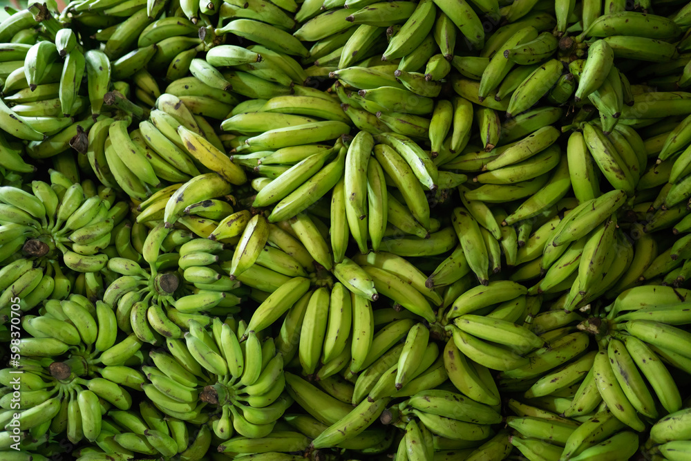 Heap of green bananas, Fresh green banana in the market Heap of green bananas, Fresh green banana in the market