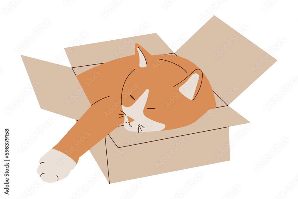 A cute red cat with white socks sleeps in his favorite box. Red and brown spotted cats. Flat design style. Vector illustration.